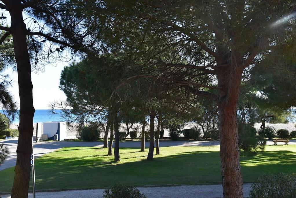 Le Byblos 9 - Vue Mer - Climatisation Plage dʼArgelès Kültér fotó